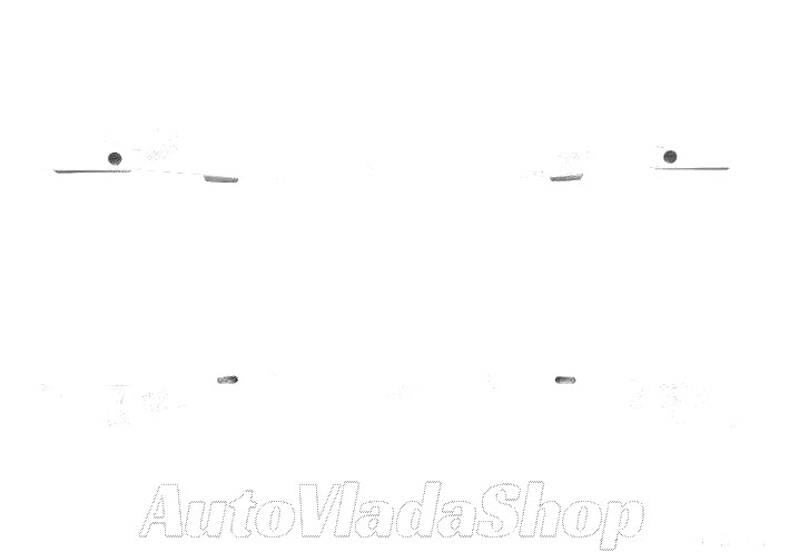 SINA ZADNJEG BRANIKA