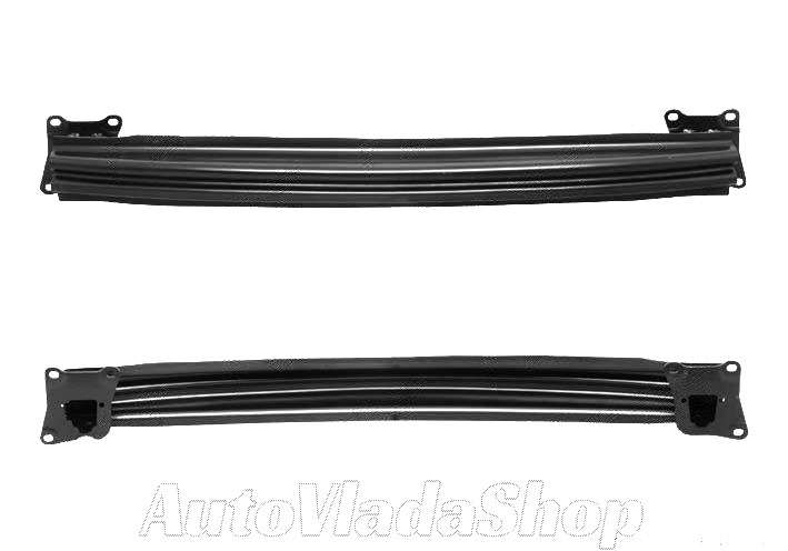 SINA ZADNJEG BRANIKA